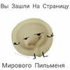 Мировой Пильмень