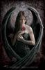 Fallen Angel_666