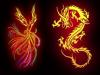 Dragon vs Phoenix