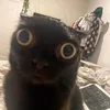 Две параллельные прямые.