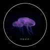 noxin