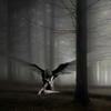 The Fallen One_