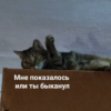 SloRroW
