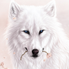 Liam_Dunbar