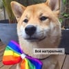 NoahNeah