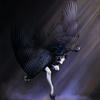 HidingInShadow
