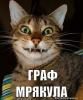 Сандра Арисава