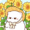 Yurin.Solar