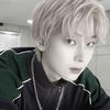asol_leps