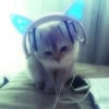 qwaslh