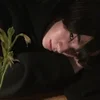 haruwoo