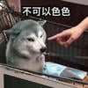УзУ