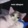 что где когда