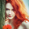 vvvolkova