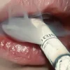 Упоро7ый_Лис