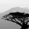 killimanjaro