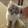 valeriadubrovina36