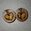 Трея Одинсон-Паркер-Лайфесон