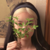 Ellinakiz