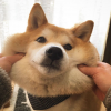marish__tt