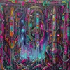 in_decay