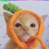 жЫзоид