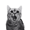 JesseDarck