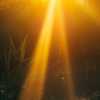 Rayo_.de._sol