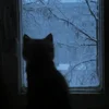 Шастуня