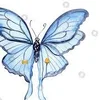dont_forget_the_magic