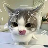 Корнуша