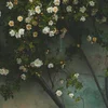 Sable Lacrimosa
