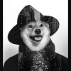 S_SILVER_S