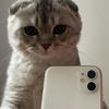 katgrampics