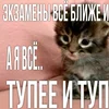 Перемячики