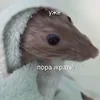 kreca