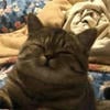 _Maneki-Neko_