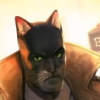 cat-without-smile