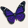 Only_butterfly