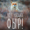 _Vulpes_