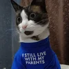 Perrcy