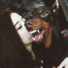 Letta_Ro
