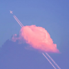 Purple_laboratory