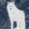 Wolf of wind