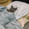 Tiny