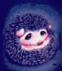 Hedgehod