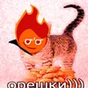 МуркаЯЖруСемечки