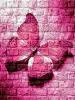 pink_angel