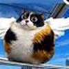 Мистер_Мытищи
