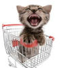 Babigon